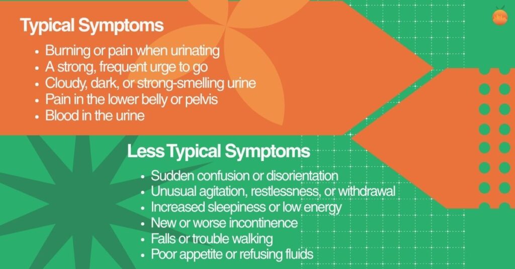 A two-tier infographic listing typical UTI symptoms (burning, urgency, cloudy urine, pelvic pain, blood in urine) on top and less typical symptoms in older adults (sudden confusion, agitation, low energy, incontinence, falls, poor appetite) on the bottom.