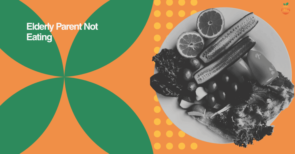 Elderly Parent Not Eating: What Boynton Beach Families Can Do