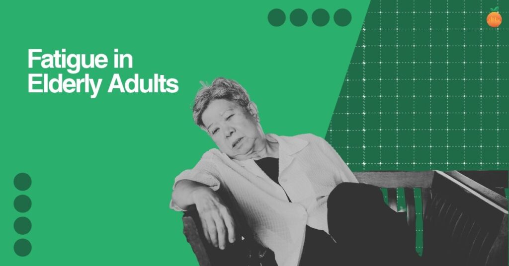 Fatigue in Elderly Adults: Causes, Red Flags, and What Helps for Boynton Beach Families