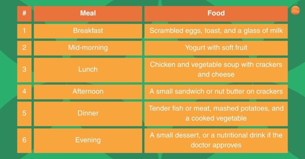 Sample day of small meals for an older adult with a small appetite, from breakfast to an evening snack
